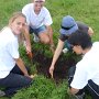 Excavando nidos con Laura Sarzetti (Argentina).